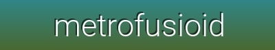 Metrofusioide – Step Into Style with Trendy Sneakers & Premium Footwear for Every Occasion